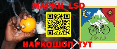 шишки Заволжье