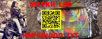 шишки Заволжье