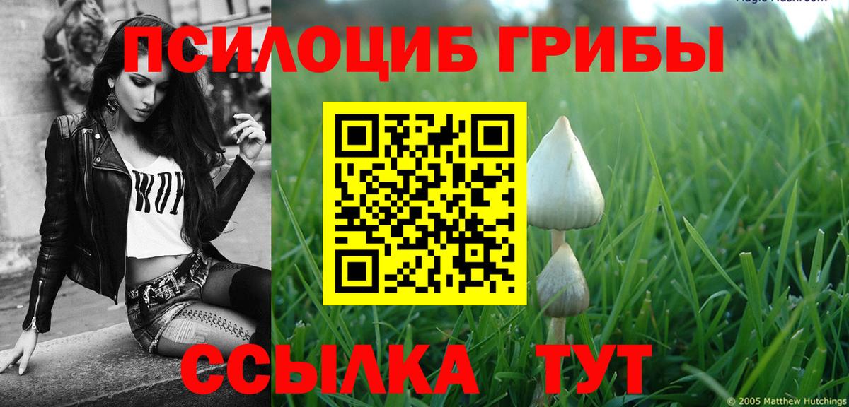 Майский  Галлюциногенные грибы мицелий  Вход с VPN 